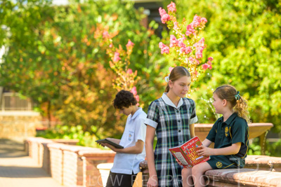 February 2024 / MERCEDES-Propectus-240212-_Z9E0015