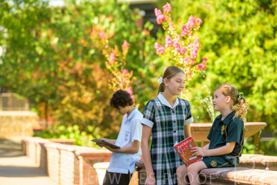 February 2024 / MERCEDES-Propectus-240212-_Z9E0021