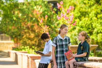 February 2024 / MERCEDES-Propectus-240212-_Z9E0023