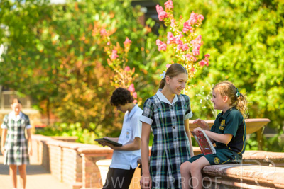 February 2024 / MERCEDES-Propectus-240212-_Z9E0079