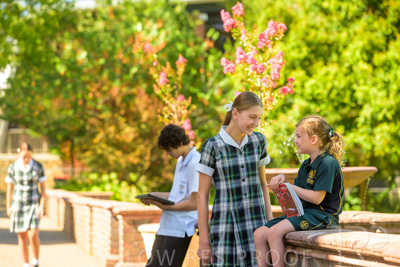 February 2024 / MERCEDES-Propectus-240212-_Z9E0080