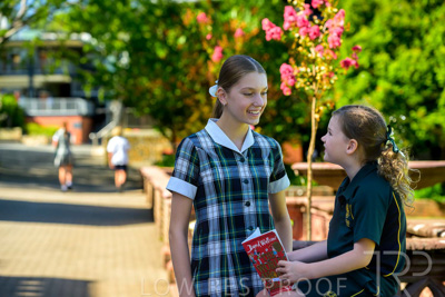 February 2024 / MERCEDES-Propectus-240212-_Z9E0150