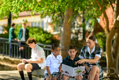 February 2024 / MERCEDES-Propectus-240212-_Z9E0274