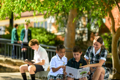 February 2024 / MERCEDES-Propectus-240212-_Z9E0295