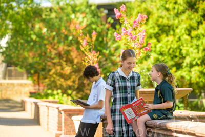 February 2024 / MERCEDES-Propectus-240212-_Z9E9977