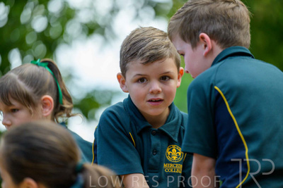 November 2024 / MARKETING-241125-_Z9C2666