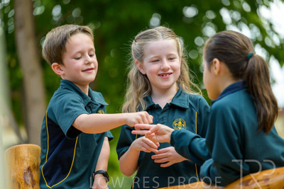 November 2024 / MARKETING-241125-_Z9C2837