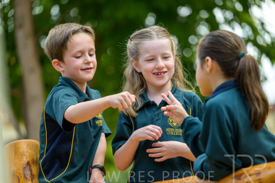 November 2024 / MARKETING-241125-_Z9C2838