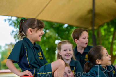 November 2024 / MARKETING-241125-_Z9C3106