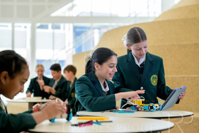 November 2024 / MARKETING-241125-_Z9C5644