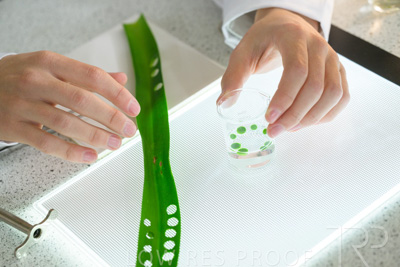 August 2025 / SCIENCE-Seniors_250827-8599