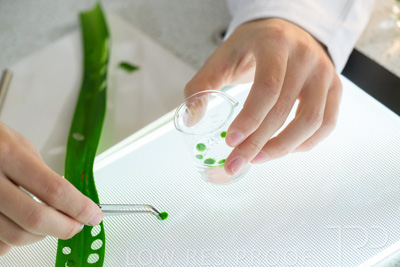 August 2025 / SCIENCE-Seniors_250827-8612