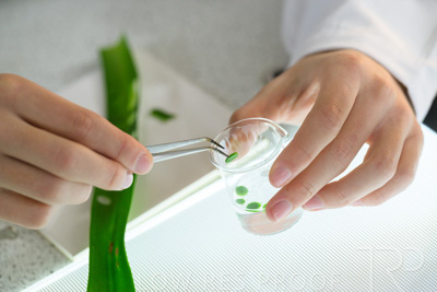 August 2025 / SCIENCE-Seniors_250827-8613