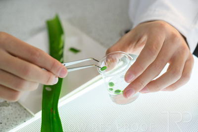 August 2025 / SCIENCE-Seniors_250827-8614