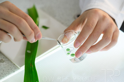 August 2025 / SCIENCE-Seniors_250827-8615