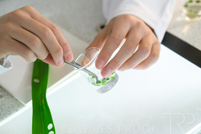 August 2025 / SCIENCE-Seniors_250827-8617