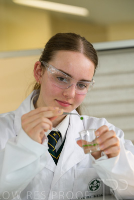 August 2025 / SCIENCE-Seniors_250827-8730