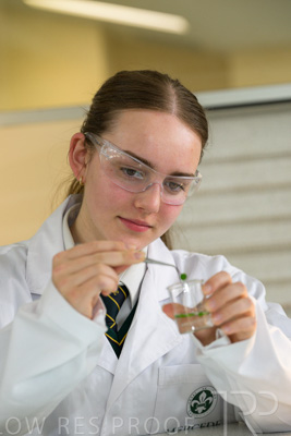 August 2025 / SCIENCE-Seniors_250827-8732