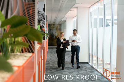 February 2019 / E&A_OPEN_DOOR_MARKETING_1301_190226_