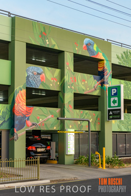 February 2019 / ASHFORD_CP_190225_002