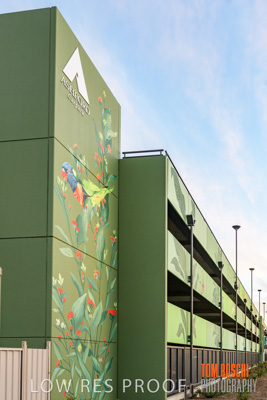 February 2019 / ASHFORD_CP_190225_007