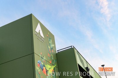 February 2019 / ASHFORD_CP_190225_009