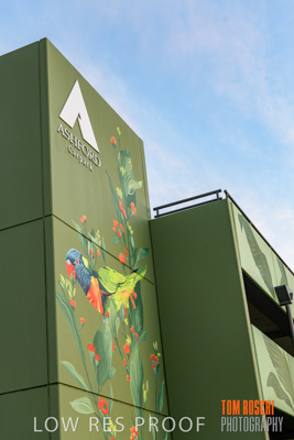 February 2019 / ASHFORD_CP_190225_010