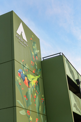 February 2019 / ASHFORD_CP_190225_010