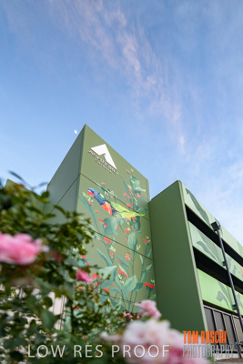 February 2019 / ASHFORD_CP_190225_013