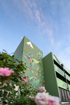 February 2019 / ASHFORD_CP_190225_013