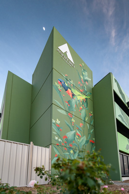 February 2019 / ASHFORD_CP_190225_014