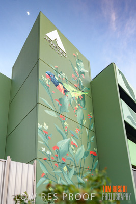 February 2019 / ASHFORD_CP_190225_015