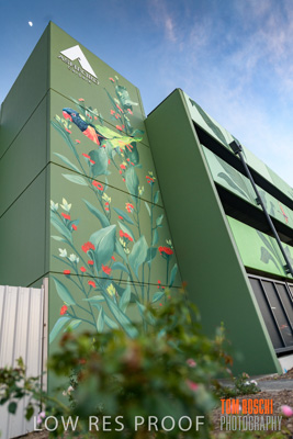 February 2019 / ASHFORD_CP_190225_016