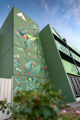 February 2019 / ASHFORD_CP_190225_016