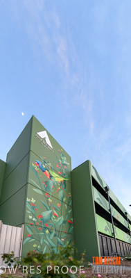 February 2019 / ASHFORD_CP_190225_019