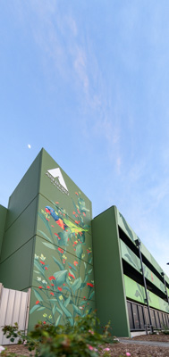 February 2019 / ASHFORD_CP_190225_019