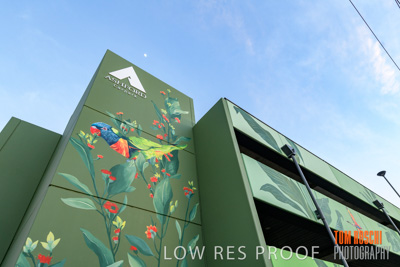 February 2019 / ASHFORD_CP_190225_020