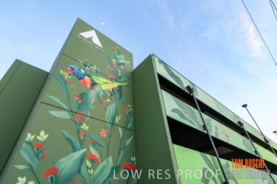 February 2019 / ASHFORD_CP_190225_021