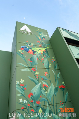 February 2019 / ASHFORD_CP_190225_022