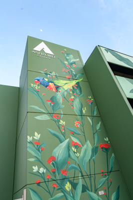 February 2019 / ASHFORD_CP_190225_022