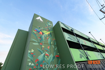 February 2019 / ASHFORD_CP_190225_023