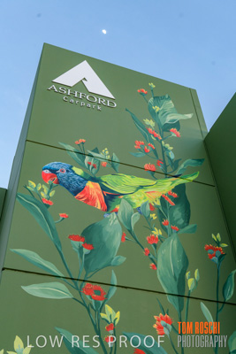 February 2019 / ASHFORD_CP_190225_024