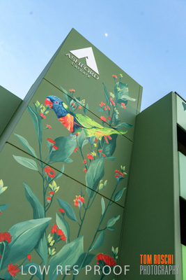 February 2019 / ASHFORD_CP_190225_025