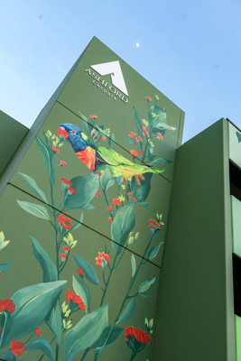 February 2019 / ASHFORD_CP_190225_025