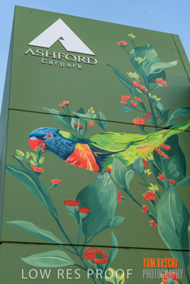 February 2019 / ASHFORD_CP_190225_026