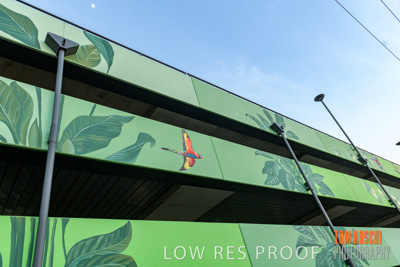 February 2019 / ASHFORD_CP_190225_028