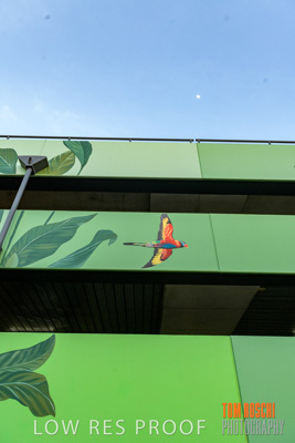 February 2019 / ASHFORD_CP_190225_029