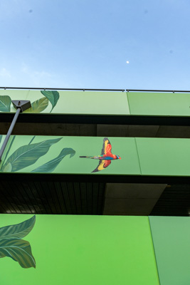 February 2019 / ASHFORD_CP_190225_029