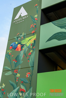 February 2019 / ASHFORD_CP_190225_030