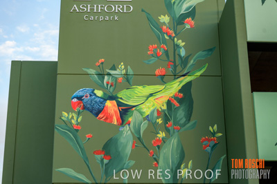 February 2019 / ASHFORD_CP_190225_031